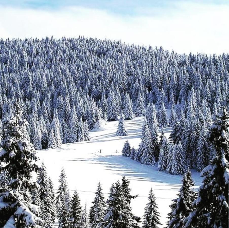 Apartmán Zlatibor Hills Royal Exteriér fotografie