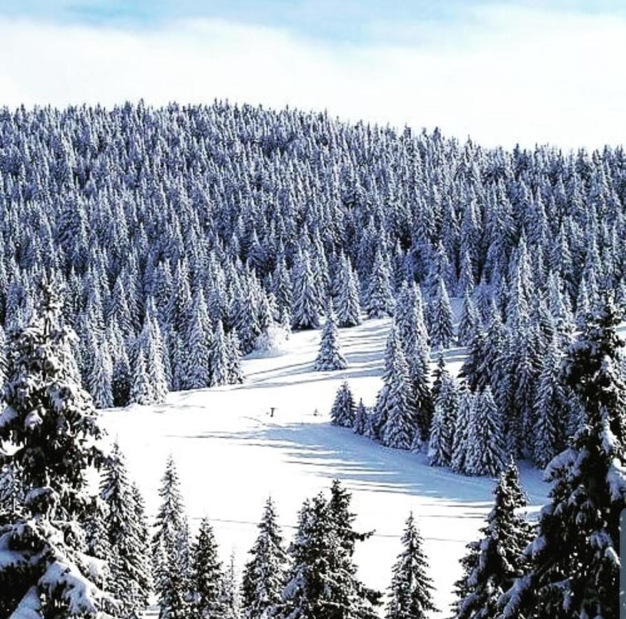 Apartmán Zlatibor Hills Royal Exteriér fotografie